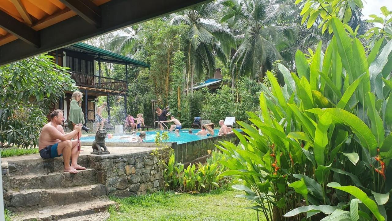 Explore Sinharaja Rain Forest Tour Camp Dombagoda Экстерьер фото