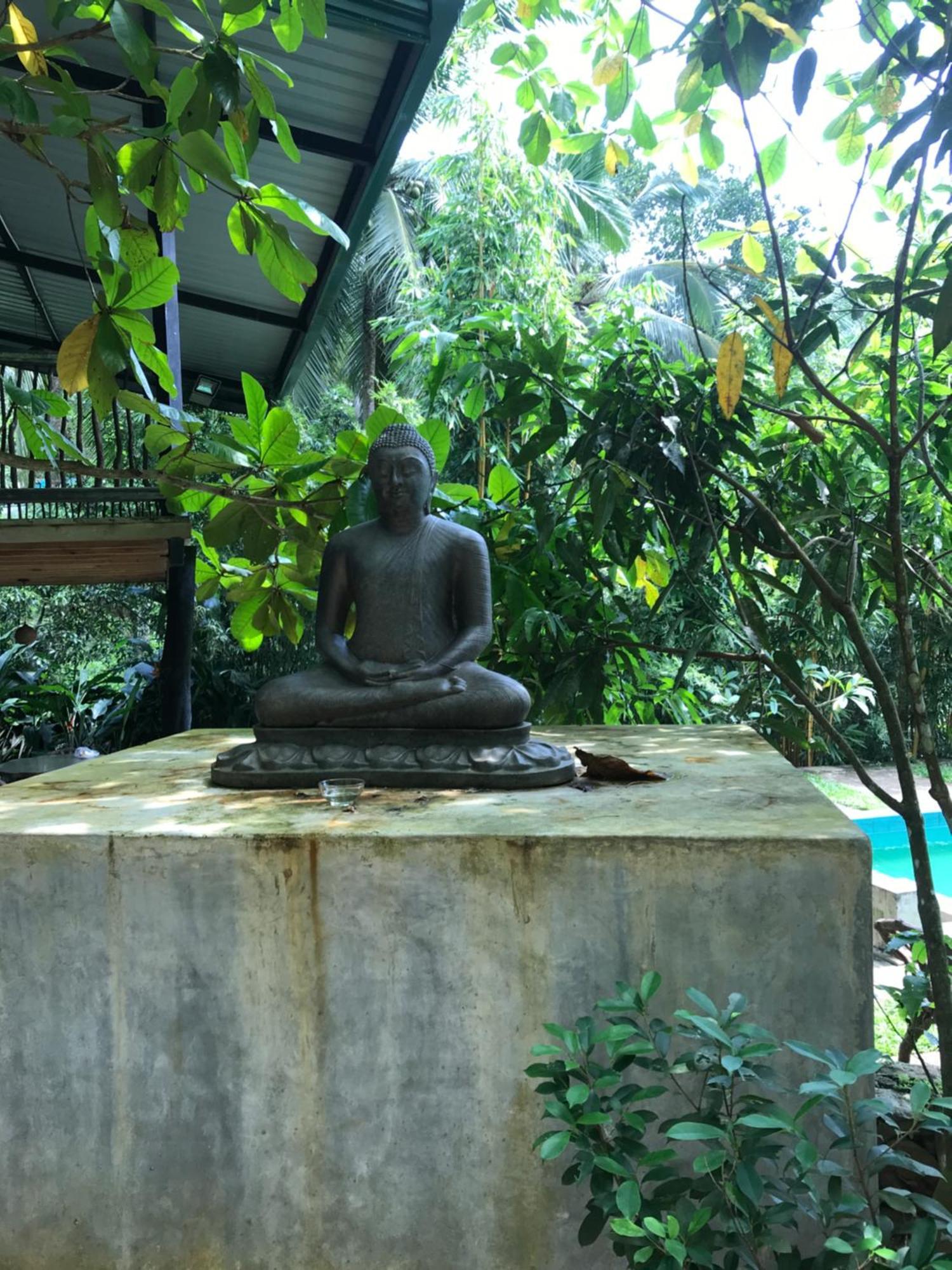 Explore Sinharaja Rain Forest Tour Camp Dombagoda Экстерьер фото