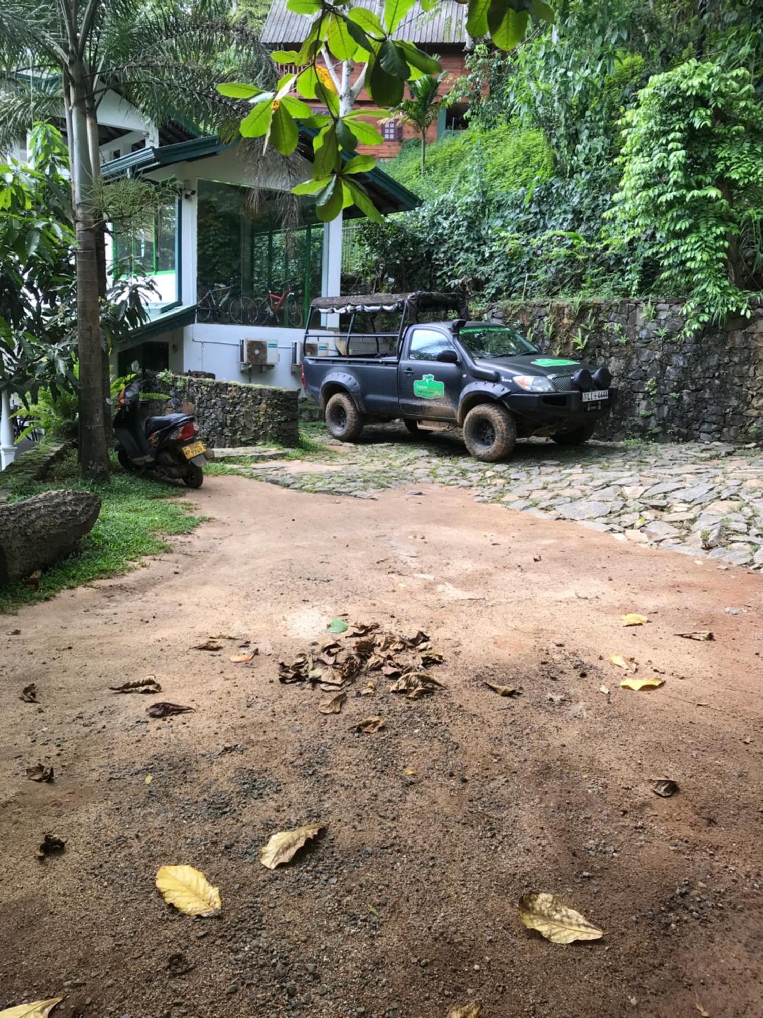 Explore Sinharaja Rain Forest Tour Camp Dombagoda Экстерьер фото