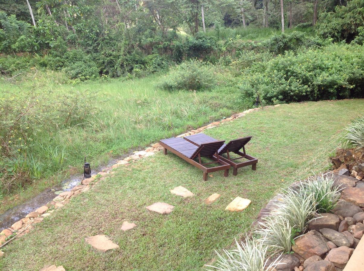 Explore Sinharaja Rain Forest Tour Camp Dombagoda Экстерьер фото