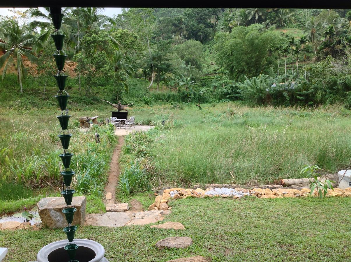Explore Sinharaja Rain Forest Tour Camp Dombagoda Экстерьер фото