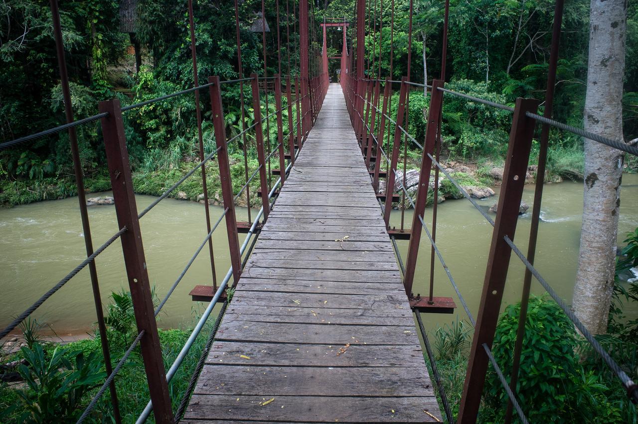 Explore Sinharaja Rain Forest Tour Camp Dombagoda Экстерьер фото