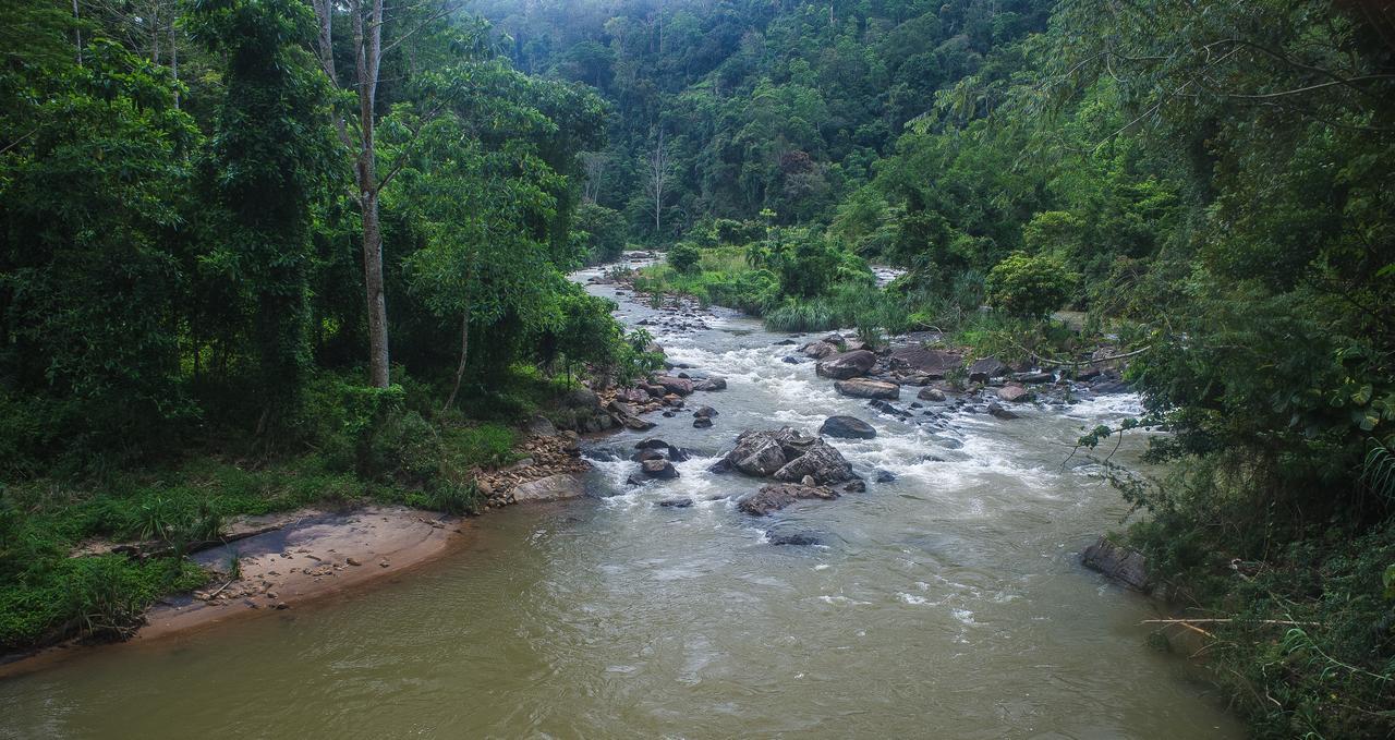 Explore Sinharaja Rain Forest Tour Camp Dombagoda Экстерьер фото