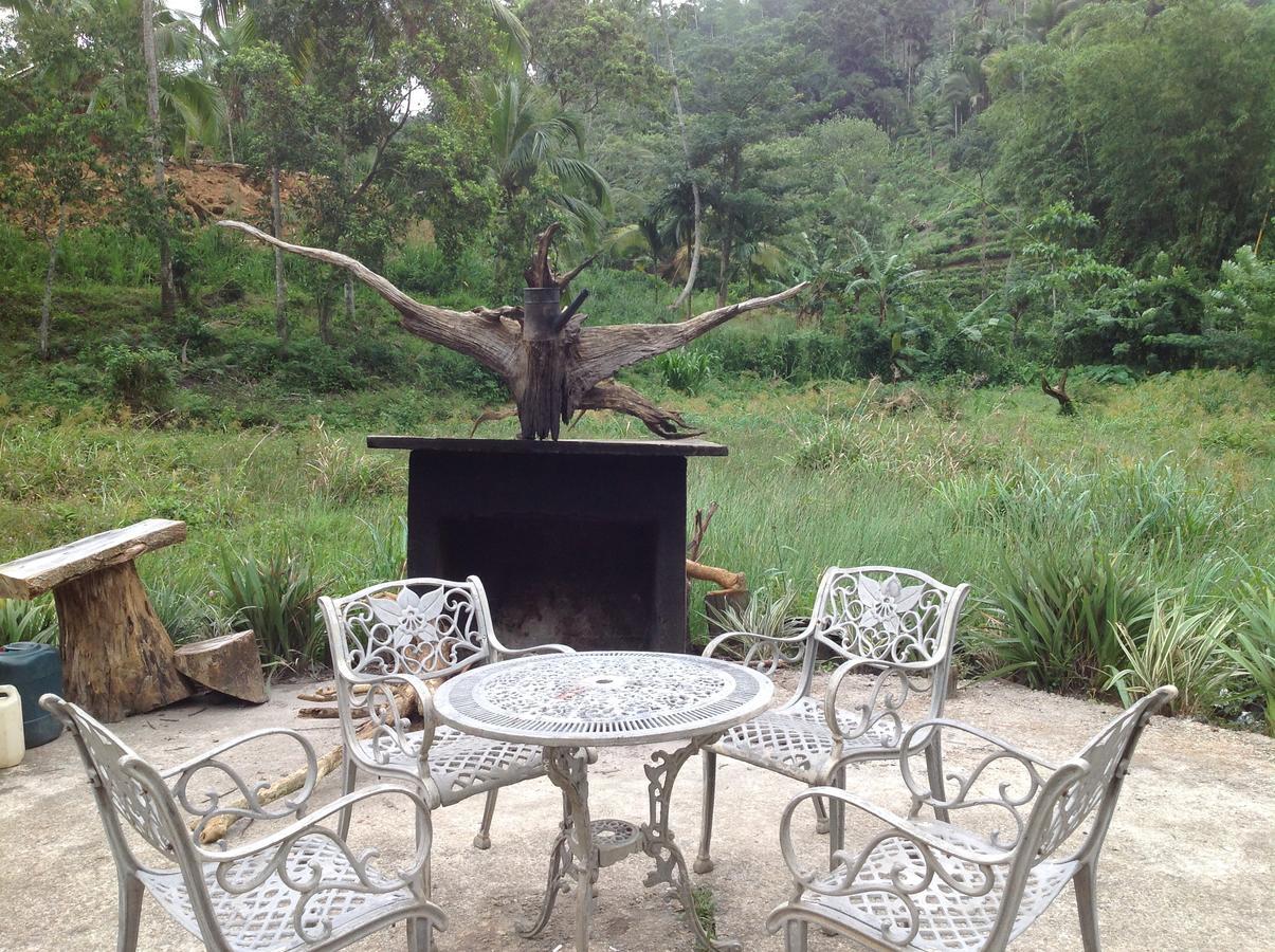 Explore Sinharaja Rain Forest Tour Camp Dombagoda Экстерьер фото