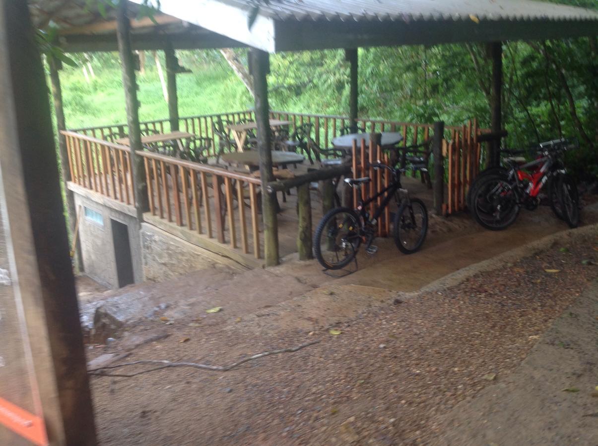 Explore Sinharaja Rain Forest Tour Camp Dombagoda Экстерьер фото