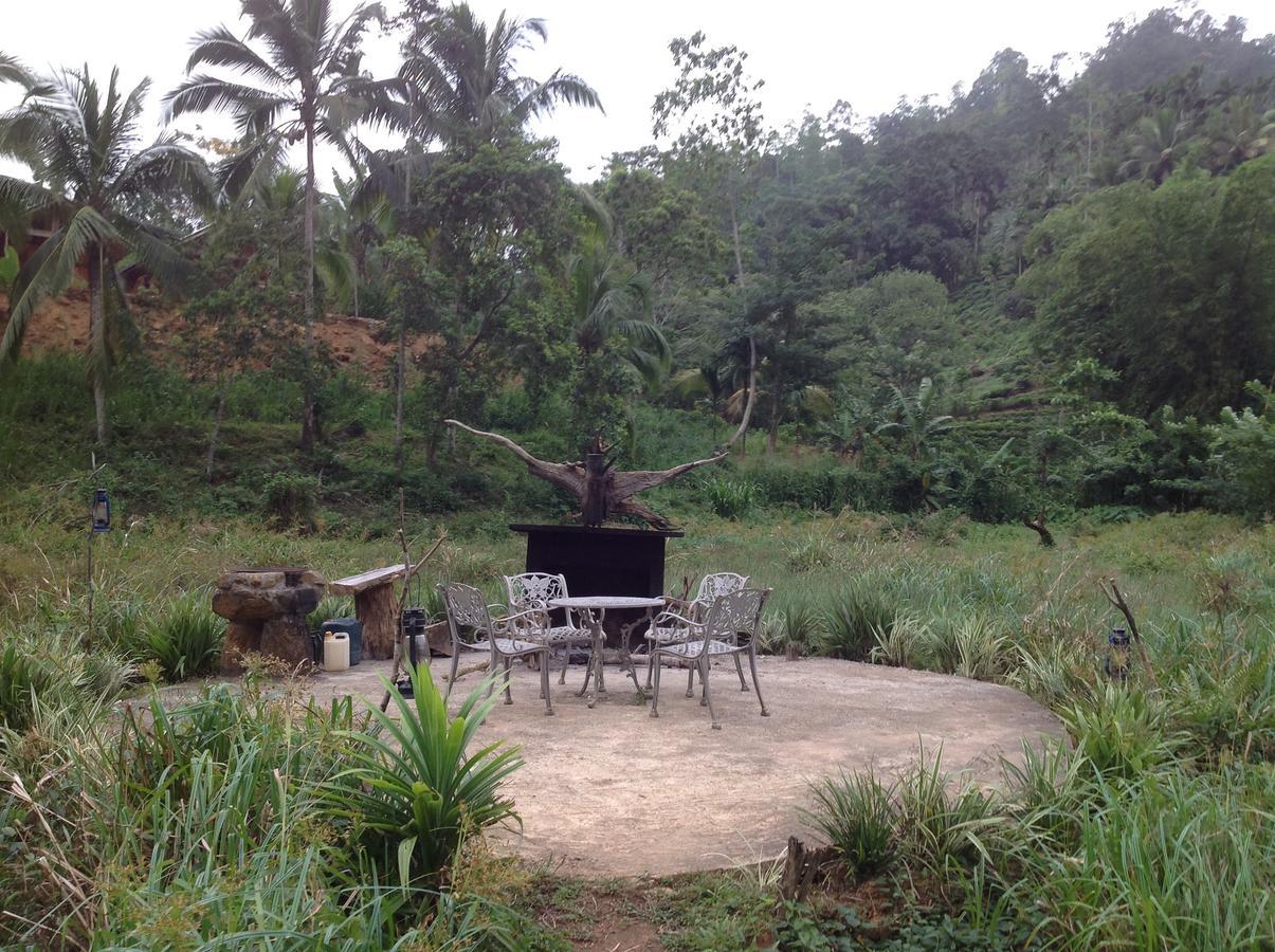 Explore Sinharaja Rain Forest Tour Camp Dombagoda Экстерьер фото