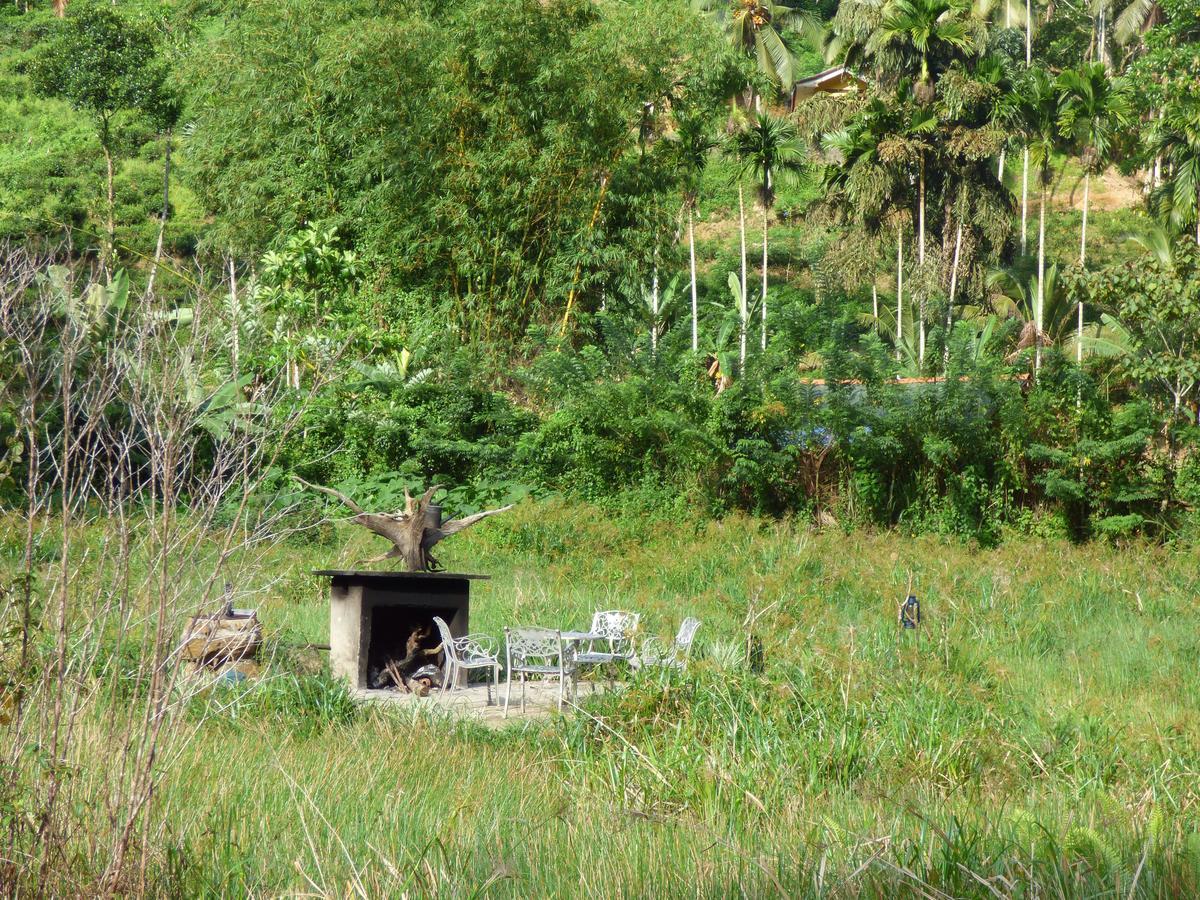Explore Sinharaja Rain Forest Tour Camp Dombagoda Экстерьер фото