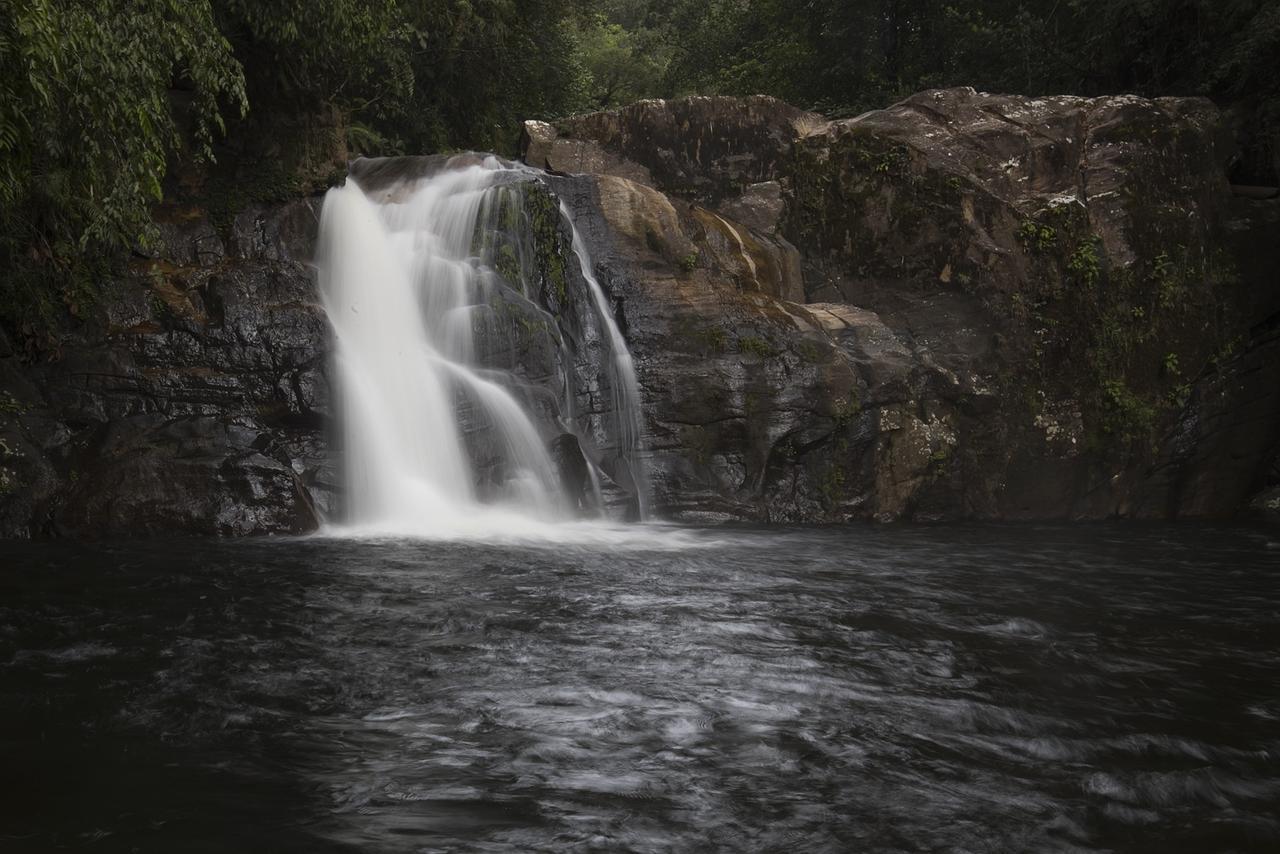Explore Sinharaja Rain Forest Tour Camp Dombagoda Экстерьер фото