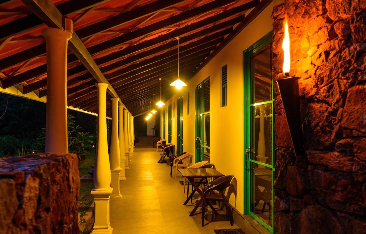 Explore Sinharaja Rain Forest Tour Camp Dombagoda Экстерьер фото