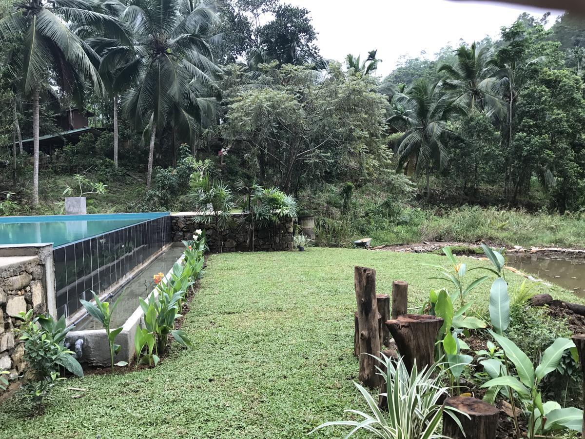 Explore Sinharaja Rain Forest Tour Camp Dombagoda Экстерьер фото
