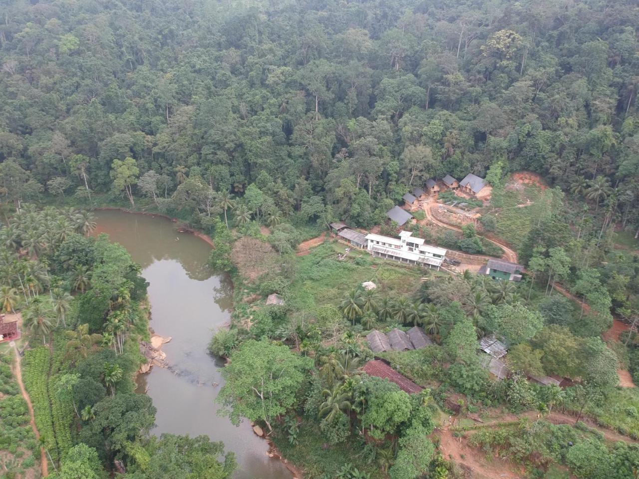 Explore Sinharaja Rain Forest Tour Camp Dombagoda Экстерьер фото