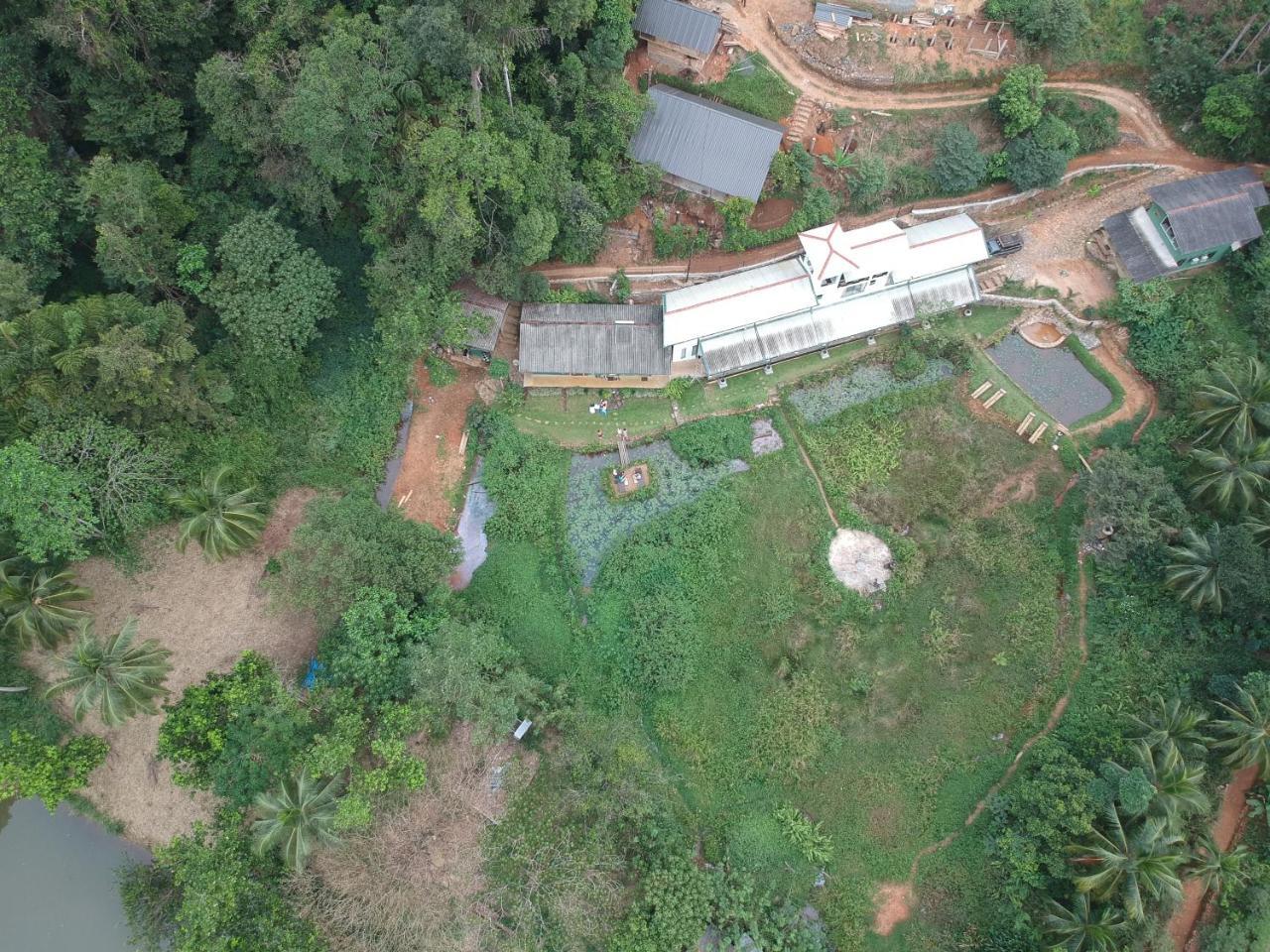 Explore Sinharaja Rain Forest Tour Camp Dombagoda Экстерьер фото