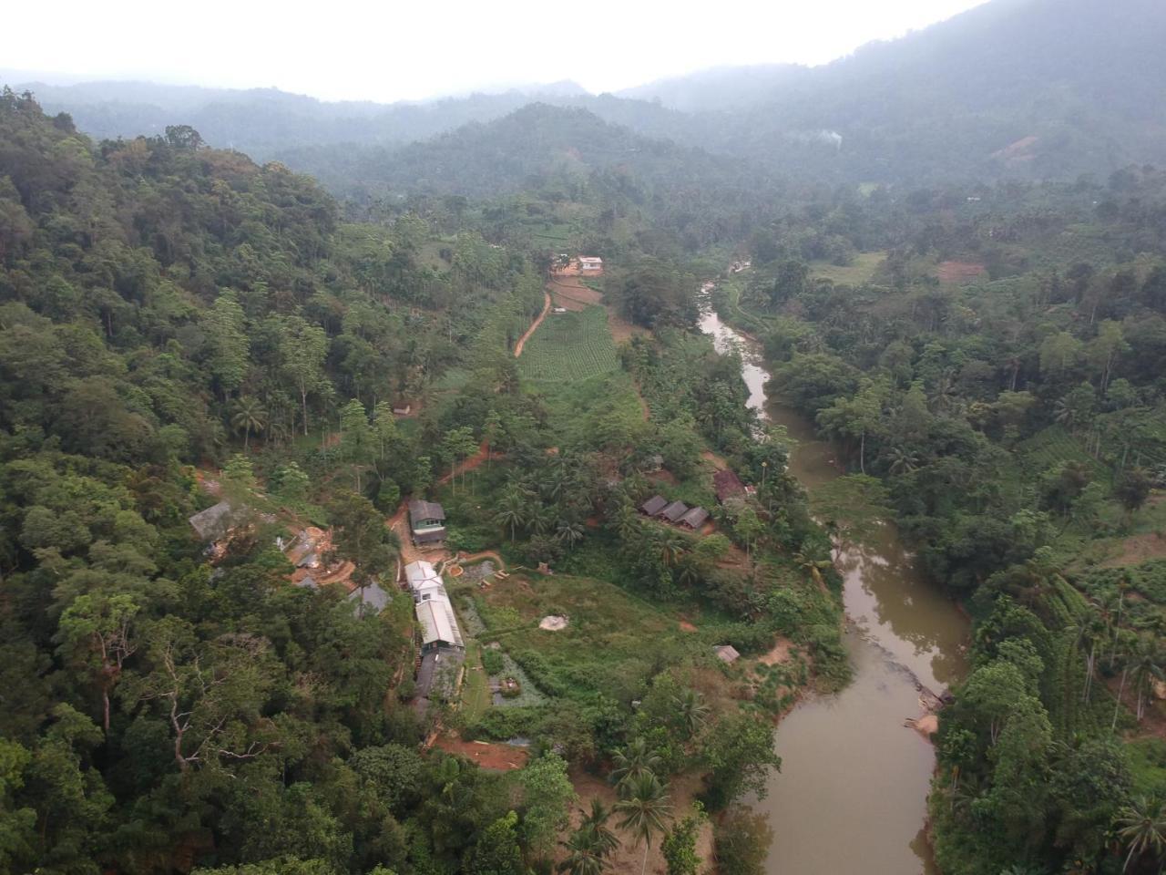 Explore Sinharaja Rain Forest Tour Camp Dombagoda Экстерьер фото